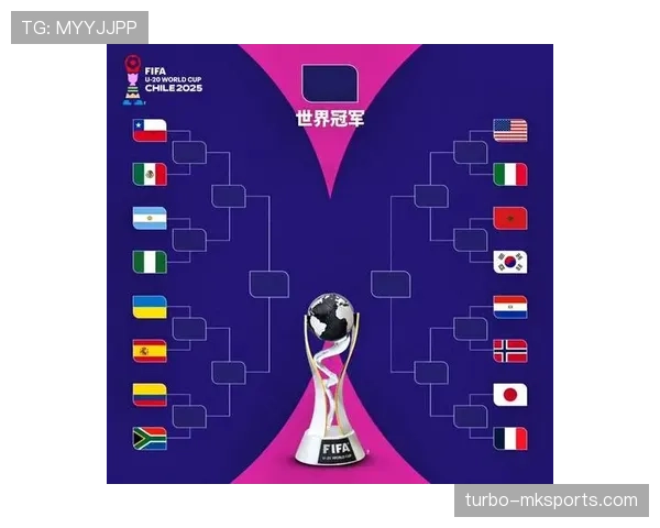 法国队世界杯预选赛表现出色 晋级形势一片光明