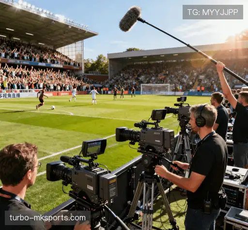 我们胜出的理由